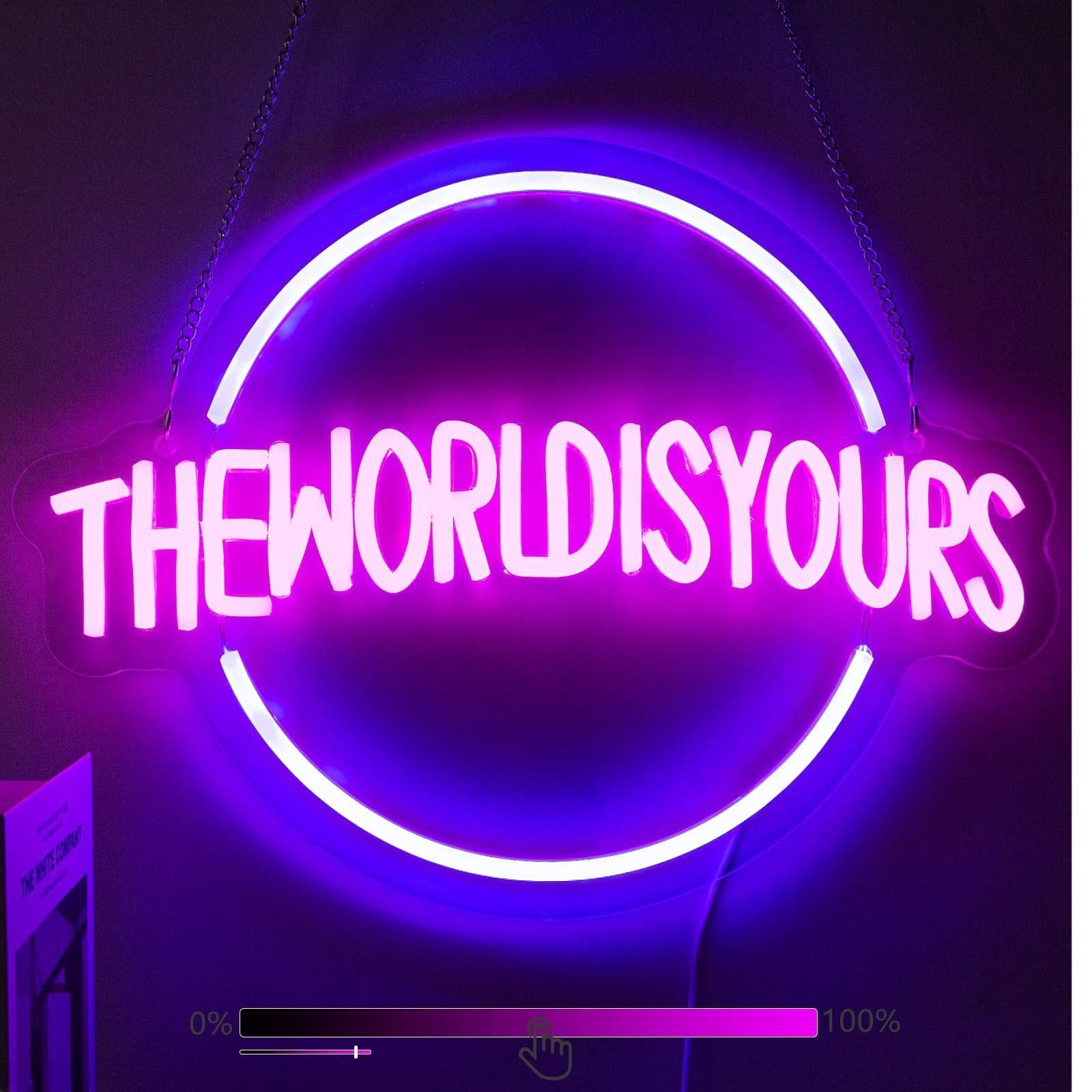 the world is yours neon sign
