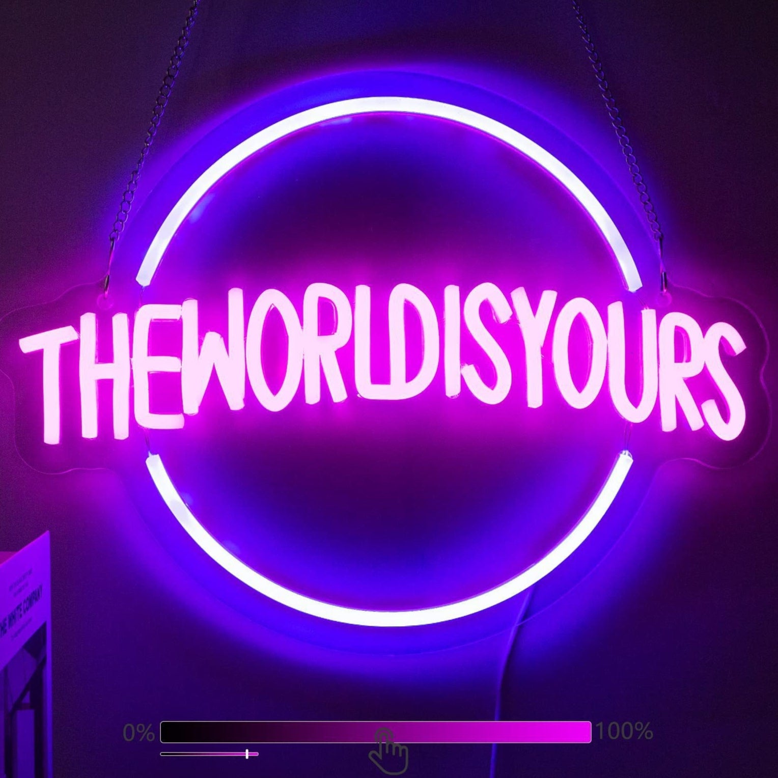 the world is yours neon sign