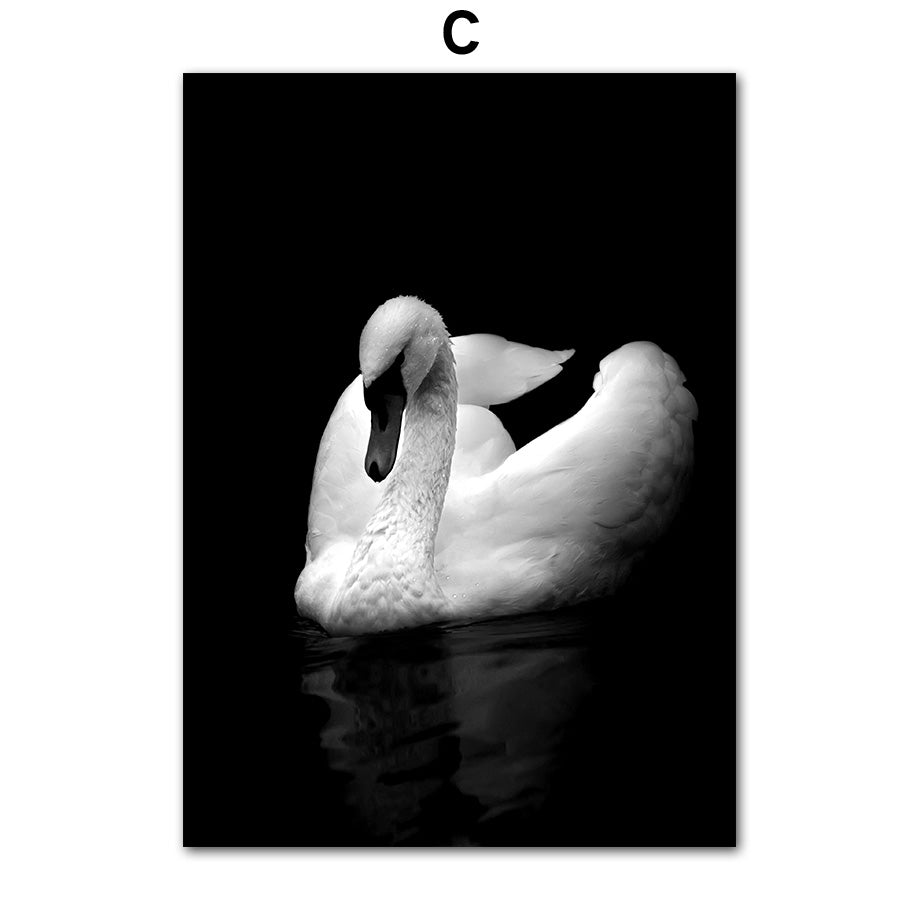 black&white animal print