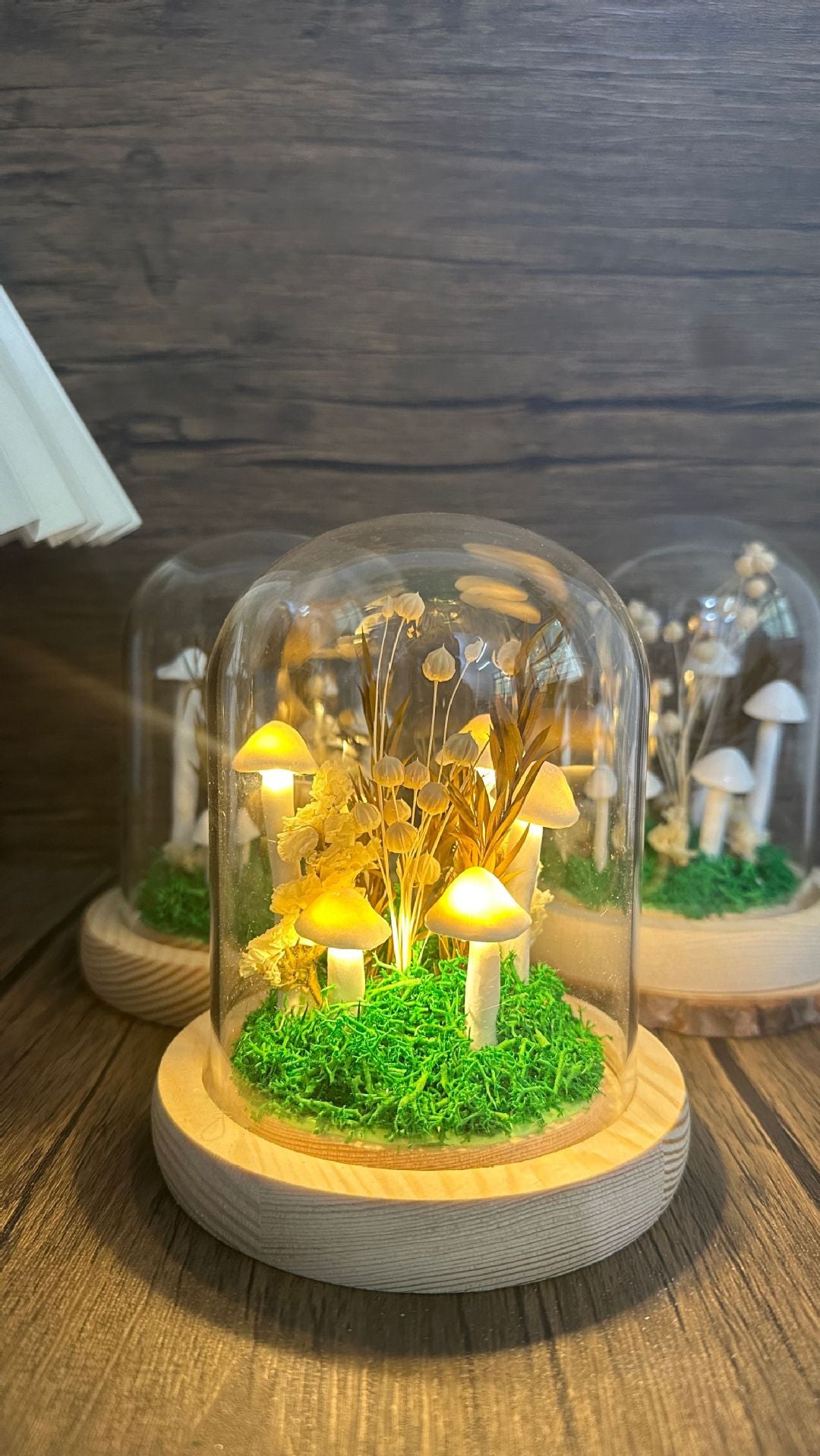 mythical mushroom light