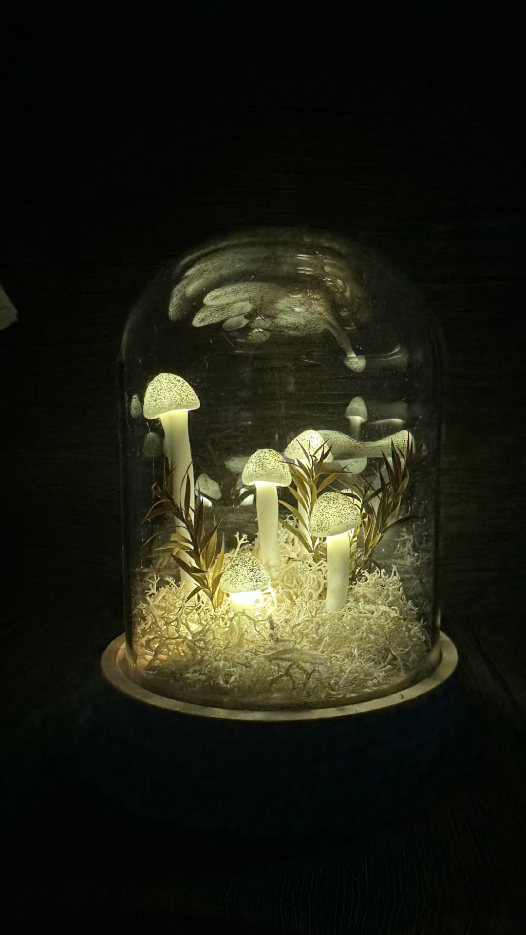 mythical mushroom light